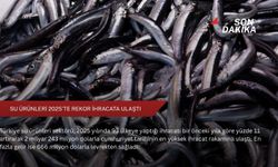 Su ürünleri 2025'te rekor ihracata ulaştı