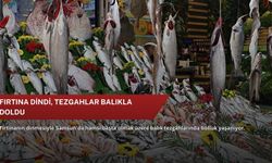 Fırtına dindi, tezgahlar balıkla doldu