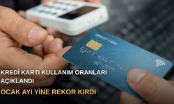 Kredi Kartı kullanım oranları açıklandı