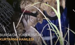 Bursa’da yürek ısıtan kurtarma hamlesi