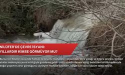 Nilüfer’de çevre isyanı: Yıllardır kimse görmüyor mu?