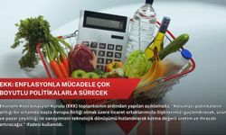 EKK: Enflasyonla mücadele çok boyutlu politikalarla sürecek