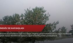 İnegöl’de kar başladı