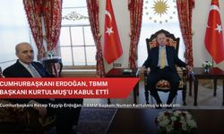 Cumhurbaşkanı Erdoğan, TBMM Başkanı Kurtulmuş'u kabul etti