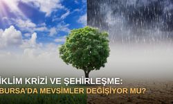 İklim krizi ve şehirleşme: Bursa’da mevsimler değişiyor mu?