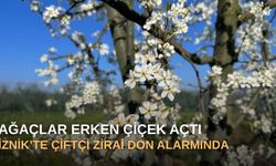 Ağaçlar erken çiçek açtı: İznik’te çiftçi zirai don alarmında