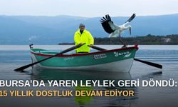 Bursa’da Yaren leylek geri döndü: 15 yıllık dostluk devam ediyor