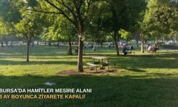 Bursa’da Hamitler Mesire alanı 3 ay boyunca ziyarete kapalı!