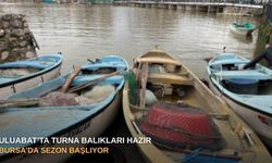 Uluabat’ta Turna Balıkları hazır: Bursa’da sezon başlıyor