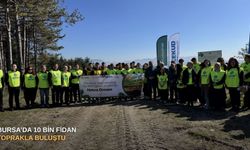 Bursa’da 10 bin fidan toprakla buluştu