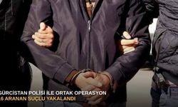 Gürcistan polisi ile ortak operasyon: 16 aranan suçlu yakalandı