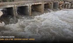 Kuruyan dere,İznik Gölü’ne tekrar hayat verdi!