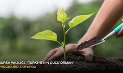 Bursa Valiliği, “Türkiye’nin Gücü Orman” programını duyurdu