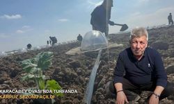 Karacabey Ovası’nda Turfanda karpuz sezonu açıldı