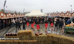 Bursa’da gelecek 40 bin atalık tohumla filizleniyor