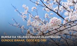 Bursa’da Yalancı Bahar Aldatmasın! Gündüz Bahar, Gece Kış Gibi