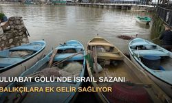 Uluabat Gölü’nde İsrail Sazanı balıkçılara ek gelir sağlıyor