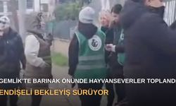 Gemlik’te barınak önünde hayvanseverler toplandı: Endişeli bekleyiş sürüyor