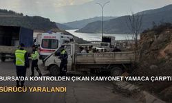 Bursa’da kontrolden çıkan kamyonet yamaca çarptı: Sürücü yaralandı