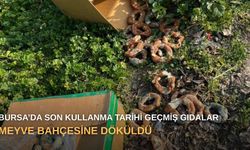 Bursa’da son kullanma tarihi geçmiş gıdalar meyve bahçesine döküldü