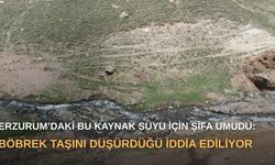 Erzurum’daki bu kaynak suyu için şifa umudu: Böbrek taşını düşürdüğü iddia ediliyor