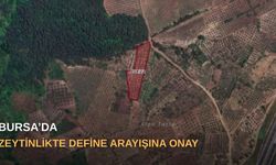 Bursa’da zeytinlikte define arayışına onay