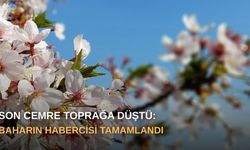 Son cemre toprağa düştü: Baharın habercisi tamamlandı