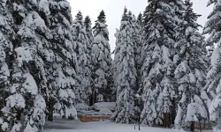 Uludağ’da kış geri dönüyor: 1 Mayıs’ta kar sürprizi!
