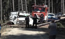 Bursa’da devrilen ağaç can aldı!