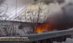 Bursa’da korkutan sabah: Alevler bağ evini kül etti!