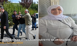 Gemlik'teki kan donduran cinayette sıcak gelişme: Zanlı tutuklandı!