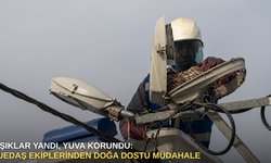 Işıklar yandı, yuva korundu: UEDAŞ ekiplerinden doğa dostu müdahale