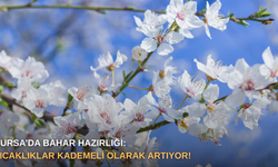 Bursa’da bahar hazırlığı: Sıcaklıklar kademeli olarak artıyor!