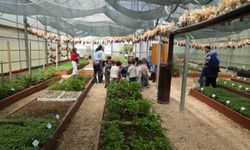 Bursa’da çocuklar iş başında: Tohumlar toprakla buluştu