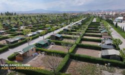 Hobi bahçelerine ağır yaptırımlar geliyor!