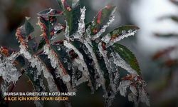 Bursa’da üreticiye kötü haber: 4 ilçe için kritik uyarı geldi!