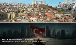 Yastık altındaki 650 ton altını ekonomiye kazandırmak için radikal öneri