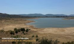 Türkiye'de 2050'den itibaren sıcak ve kurak iklim öngörülüyor