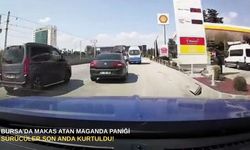 Bursa’da makas atan maganda paniği: Sürücüler son anda kurtuldu!