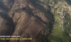 Bursa’nın yaraları yeşil seferberlikle sarılıyor