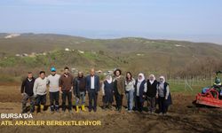 Bursa'da atıl araziler bereketleniyor