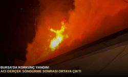 Bursa'da korkunç yangın! Acı gerçek söndürme sonrası ortaya çıktı