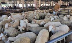 Bursa’da kurban kesim yerleri belli oldu! İşte ilçe ilçe tam liste (2026)