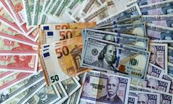 Dolar ve Euro kaç TL’den işlem görüyor?