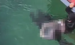 Bursa’da sır dolu ölüm: Eski astsubay sahilde ölü bulundu!
