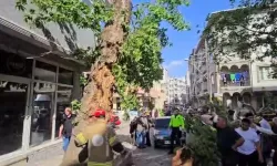 Bursa’da yol kenarındaki ağaç can alıyordu! Feci olayda sürücü ağır yaralı!