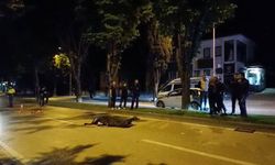 Bursa'da kahreden tesadüf! Kardeşinin ölümüyle sarsılmıştı, kendisi de aynı yolda can verdi!