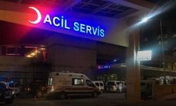 Bursa’da korkutan kaza: Talihsiz yavru yaşam savaşı veriyor!