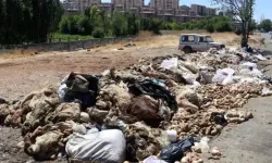 BUSKİ’den Bursa’ya kurban atıklarıyla ilgili kritik uyarı!