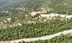 Bursa’nın yeni mesire alanı Kule Orman Park açılıyor!